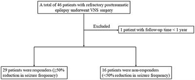 Vagus nerve stimulation for refractory posttraumatic epilepsy: Efficacy and predictors of seizure outcome